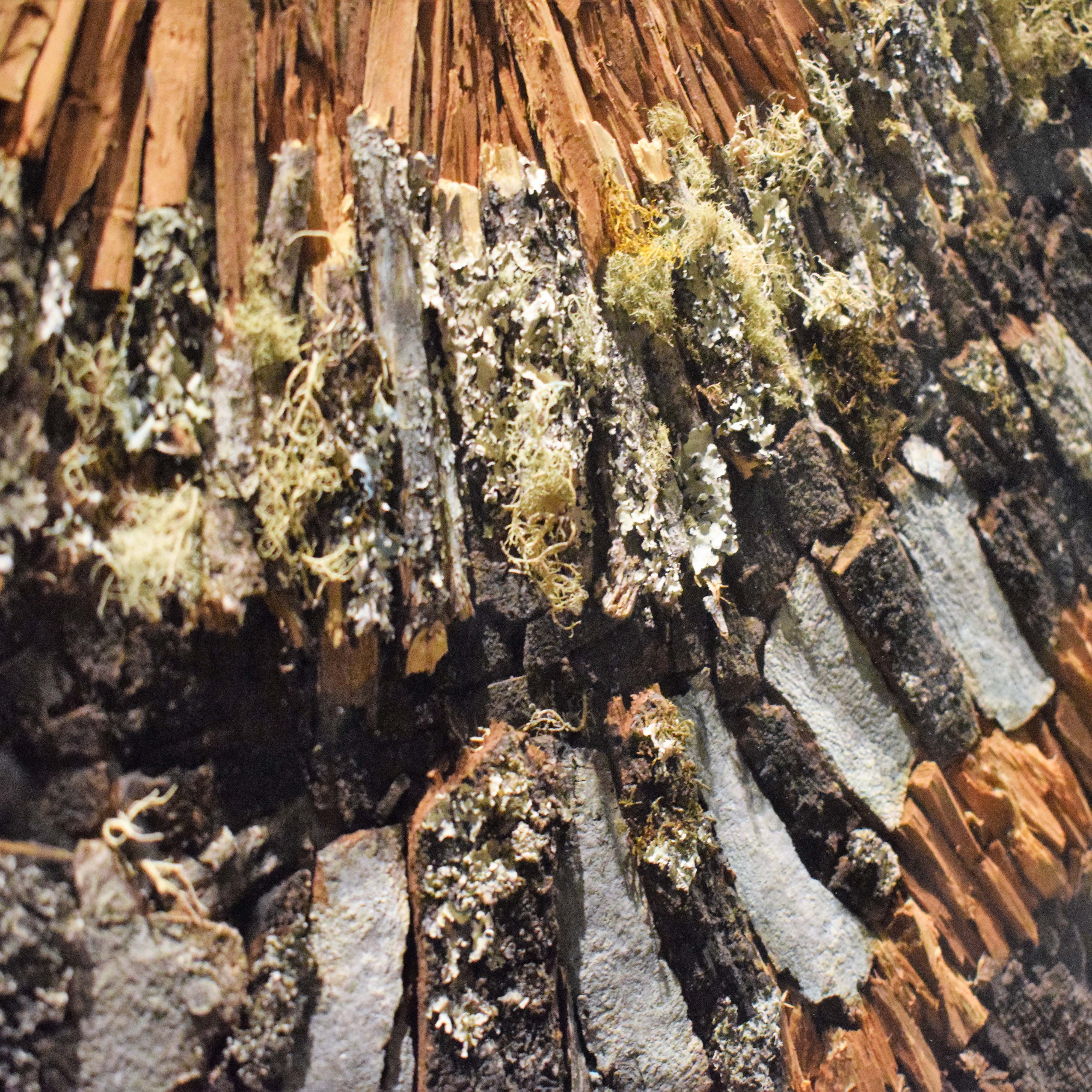 Detalle 4