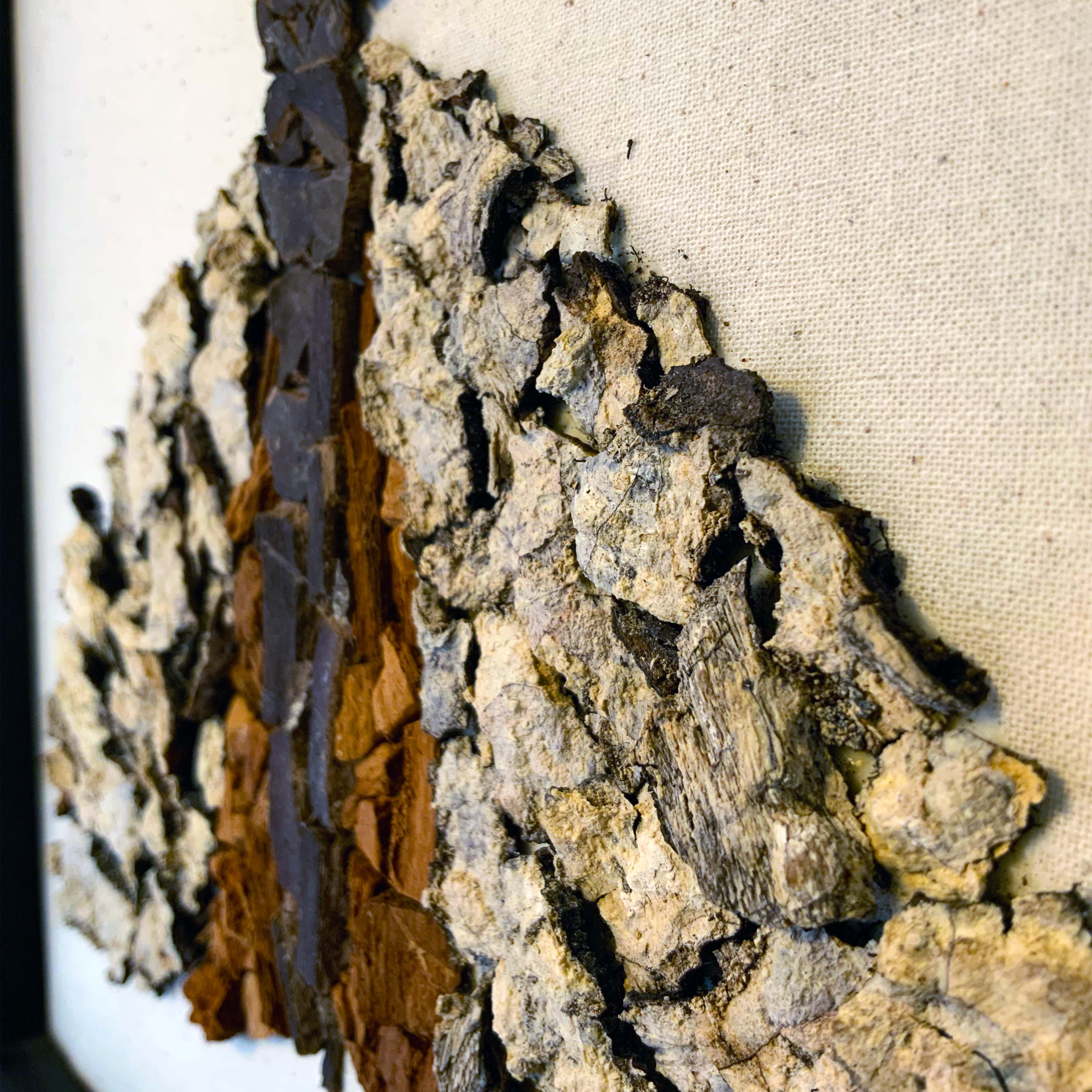 Detalle 1